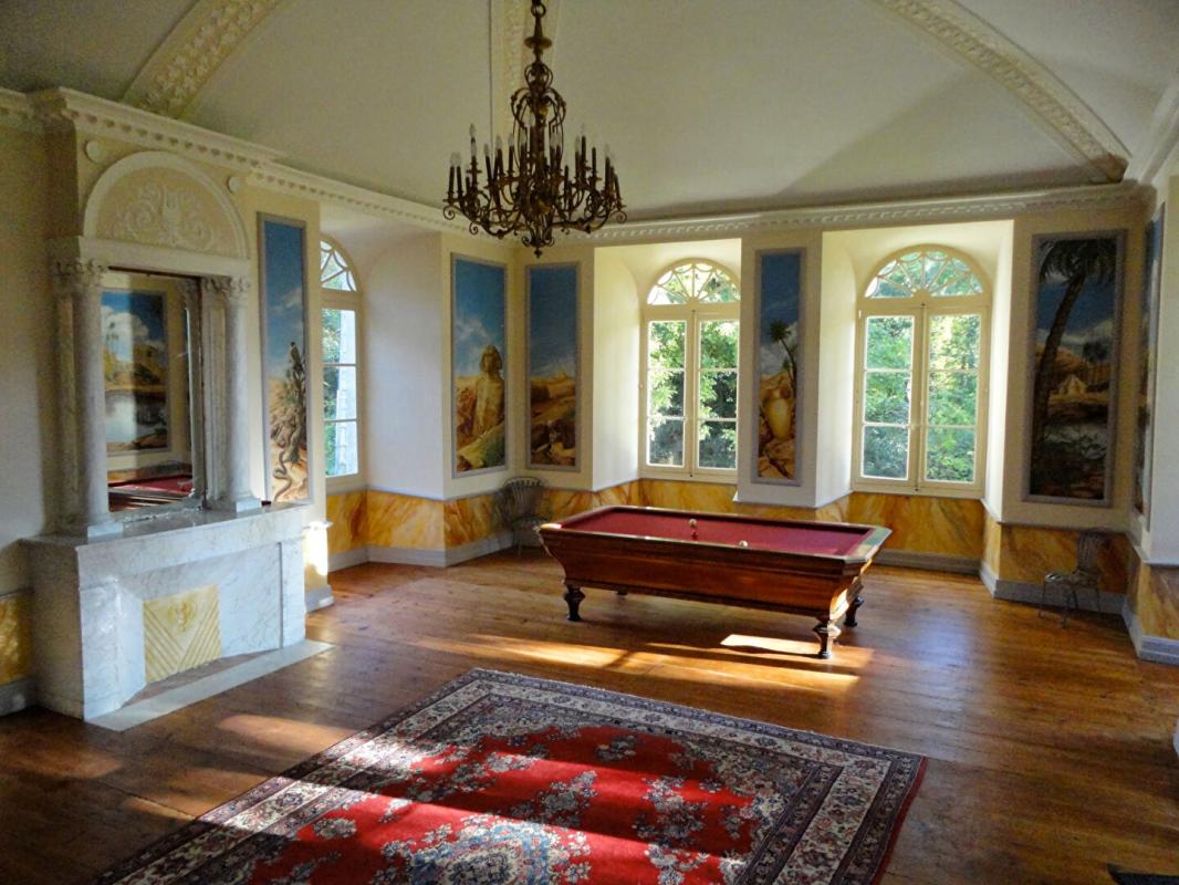 12 bedroom chateau in Nerac, Lot-et-Garonne, France
