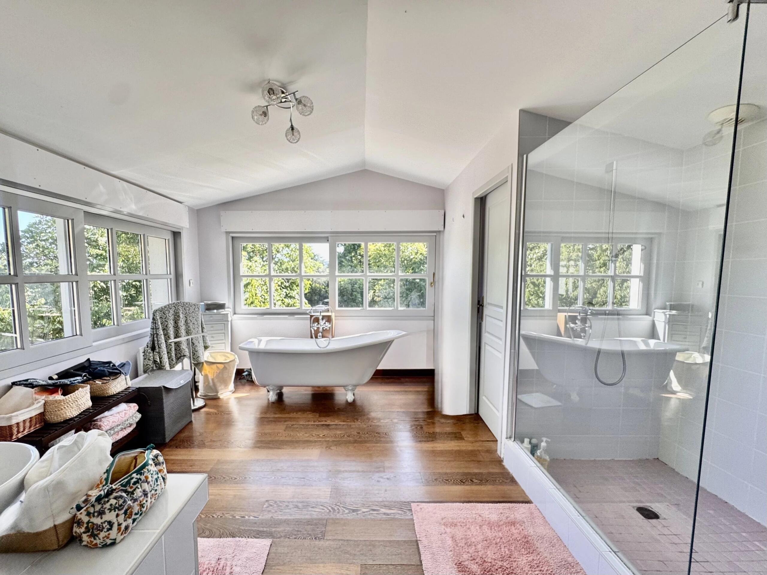 Superb manor house, Aquitaine – France – BVI69243