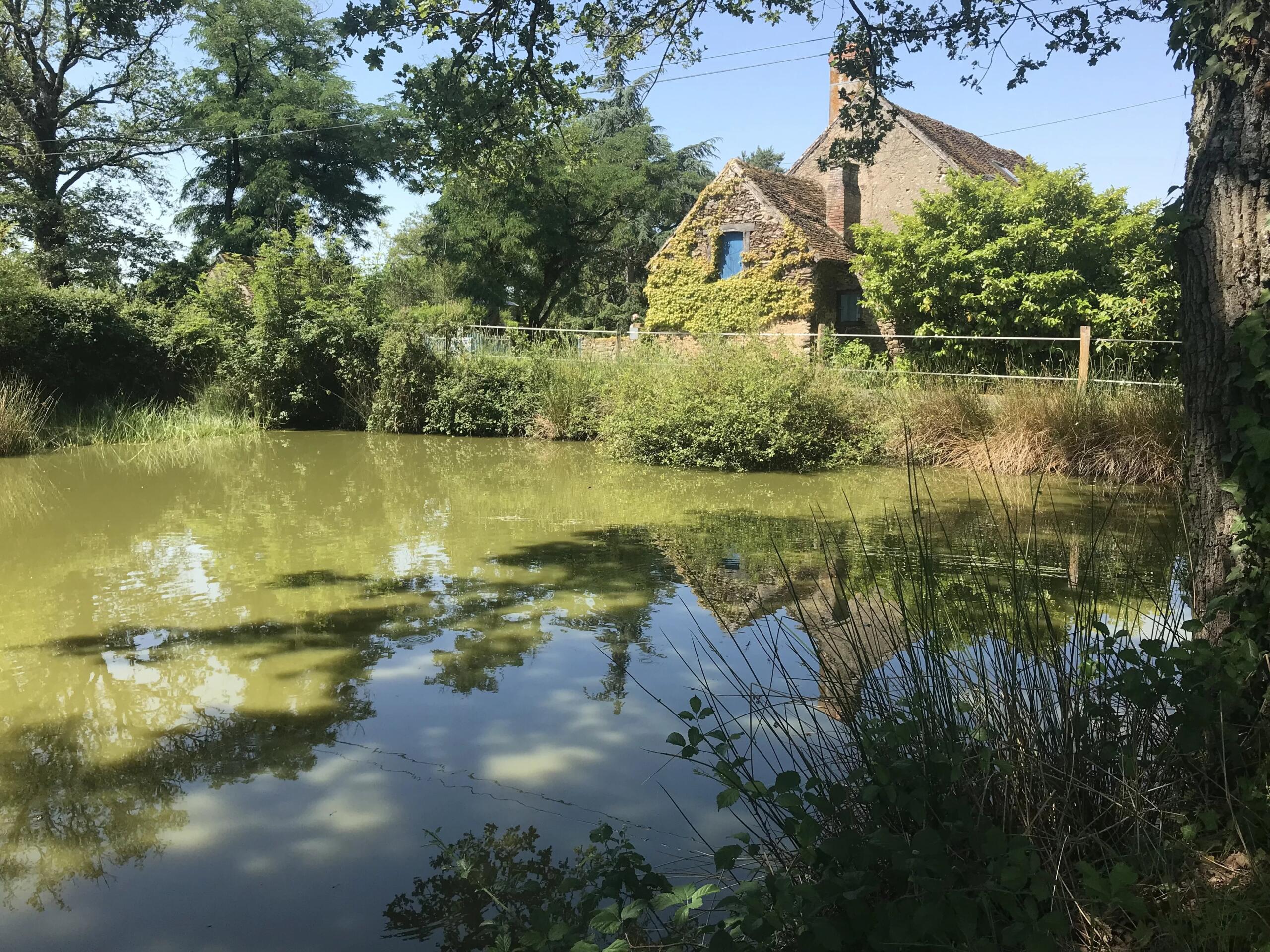 A truly beautiful country property with land, Limousin – France – BVI85914