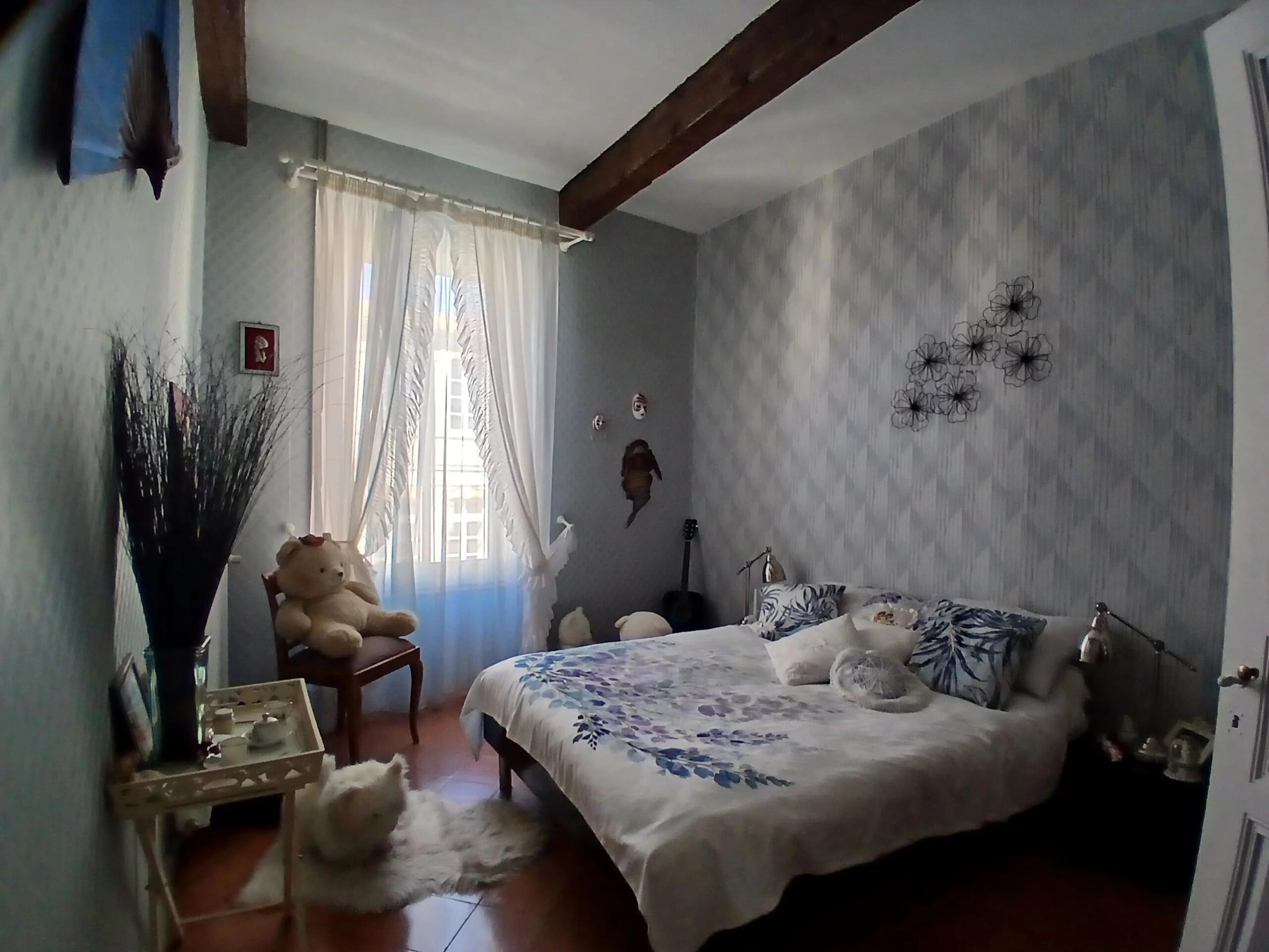 La Redorte – 19th century mansion house, tastefully restored with terraces and pool, Languedoc-Roussillon – France – BVI85076