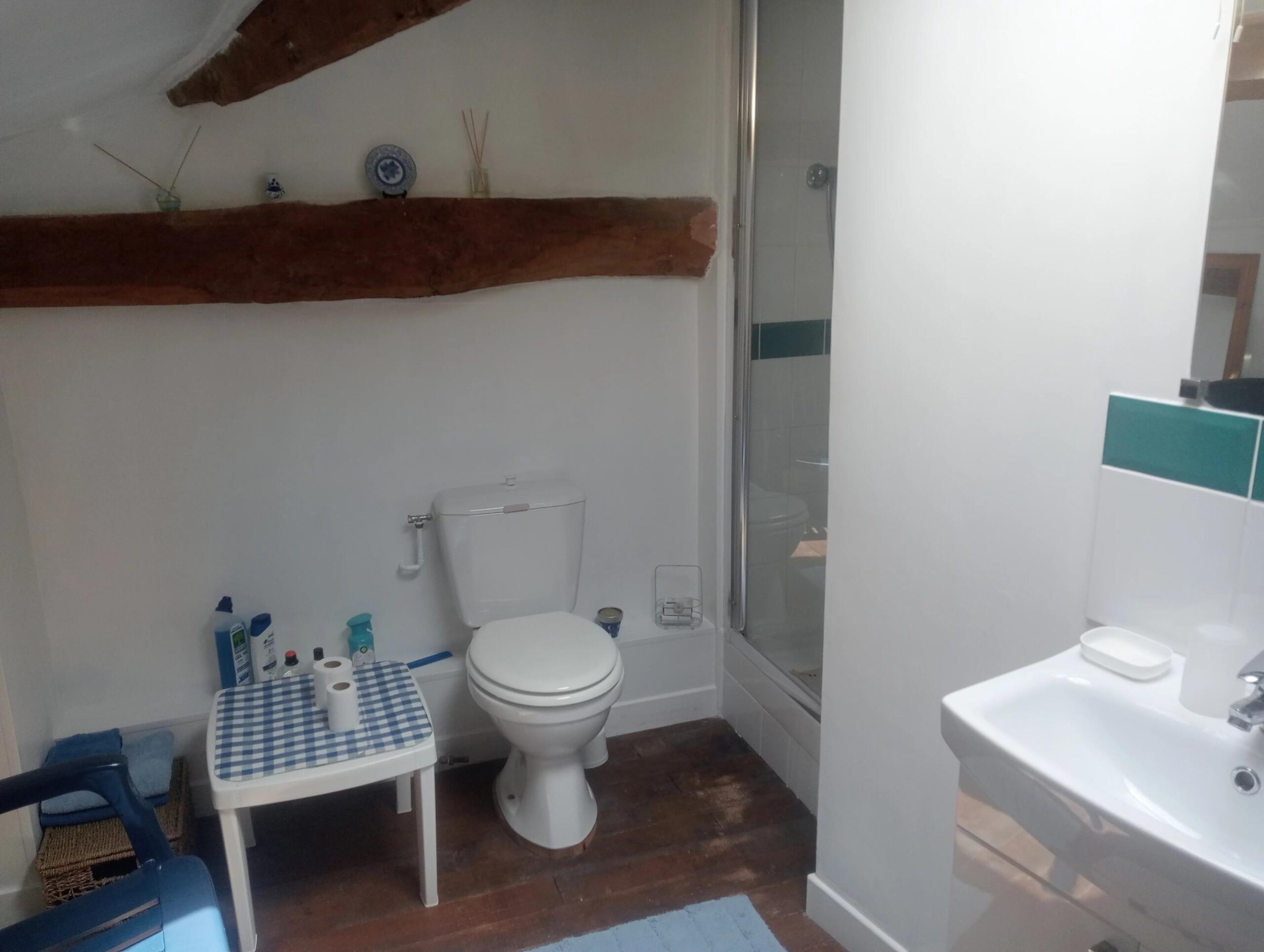 Rural holiday home with potential, Poitou-Charentes – France – BVI85755