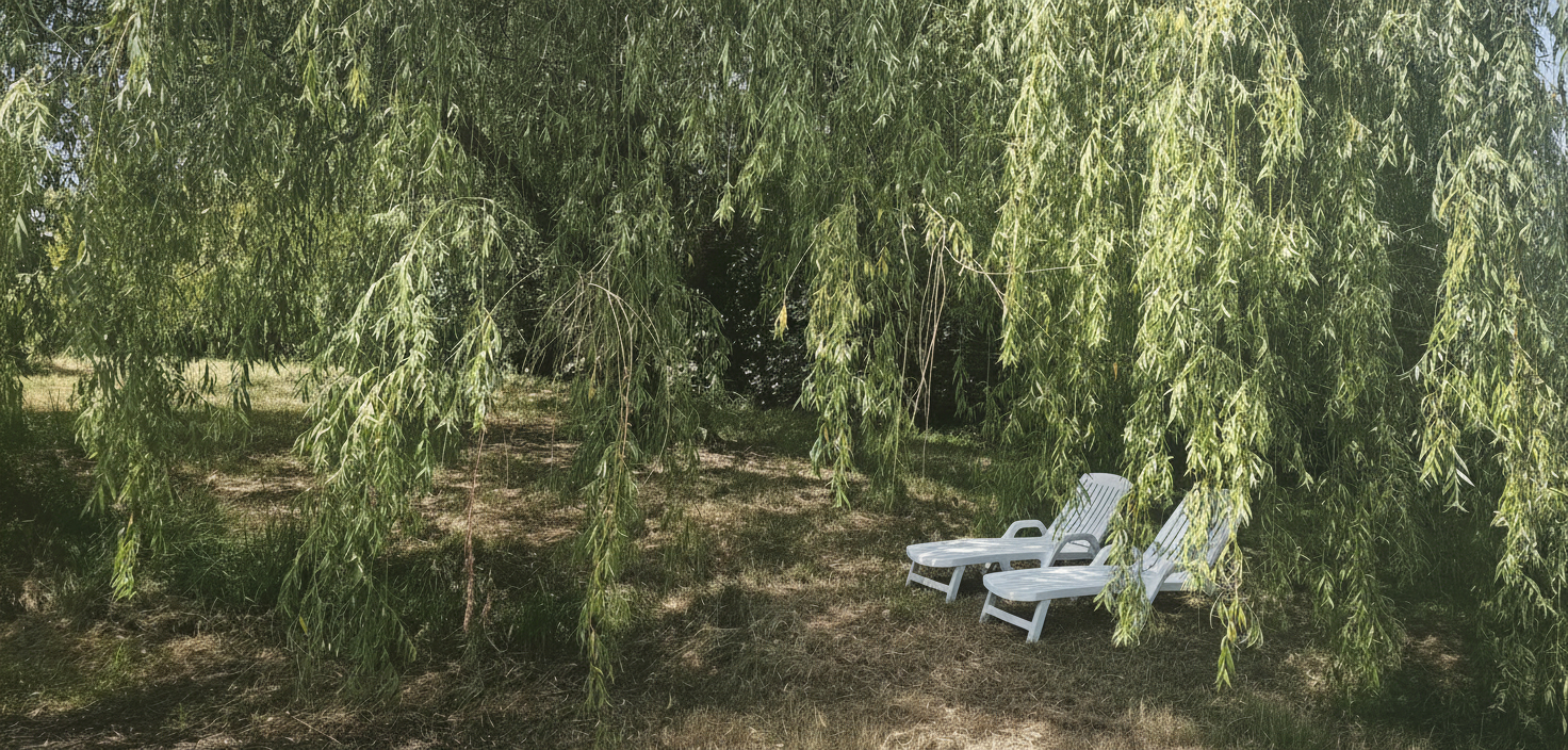 3 bedroom maison recente in Durfort Lacapelette, Tarn-et-Garonne, France