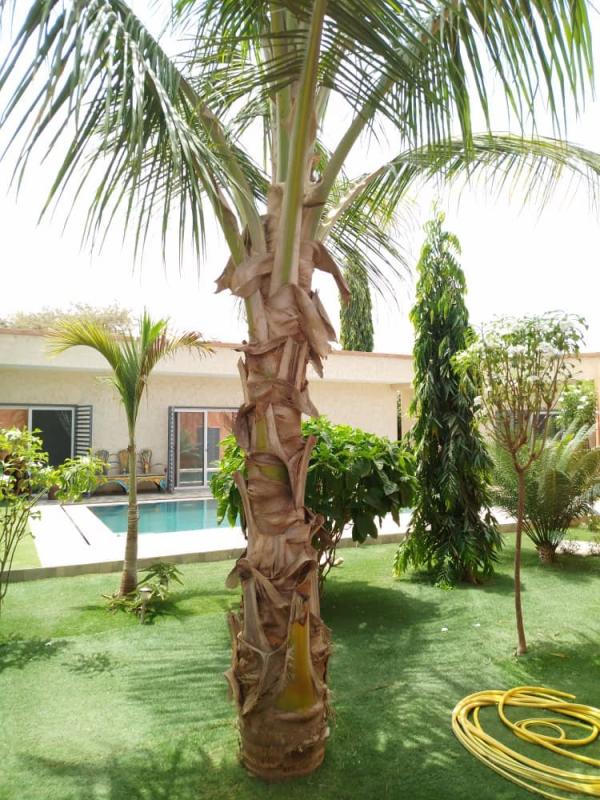 4 bedroom villa in Nguerigne, Sénégal