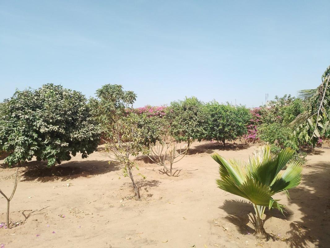 3 bedroom villa in Nguerigne, Sénégal