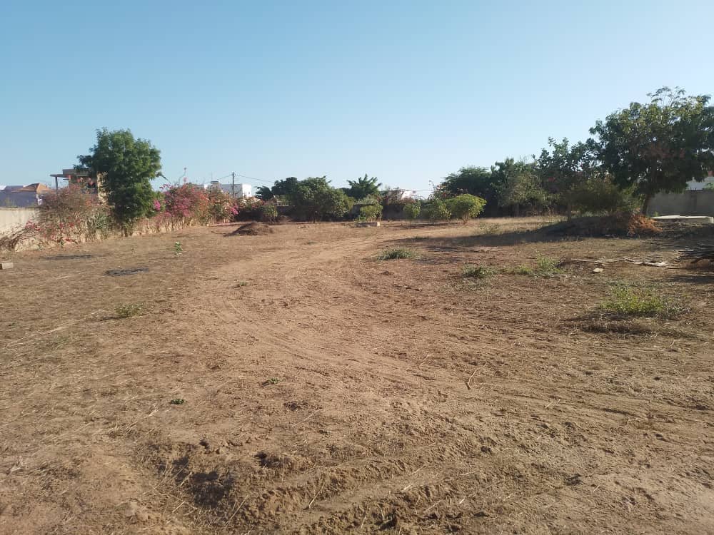 terrain a batir in Saly, Sénégal
