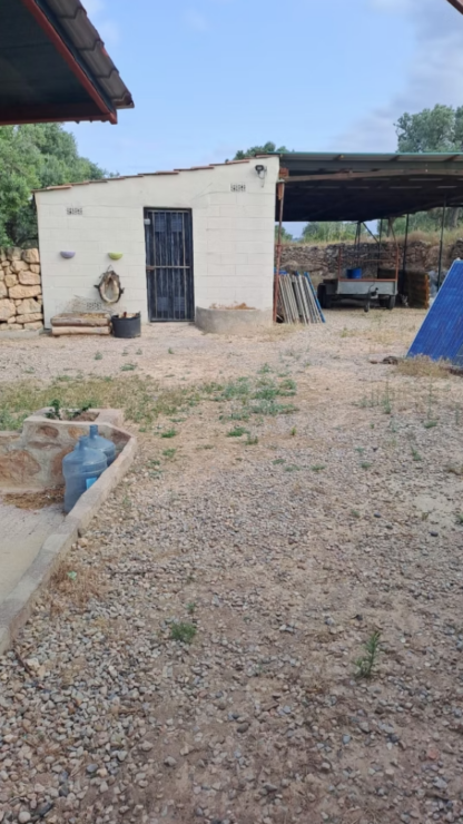 Country Estate in Tarragona Spain – 37 Hectares (91 Acres) Now Only €280,000- Payable Over 10 Years -No mortgage required