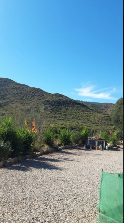 Country Estate in Tarragona Spain – 37 Hectares (91 Acres) Now Only €280,000- Payable Over 10 Years -No mortgage required