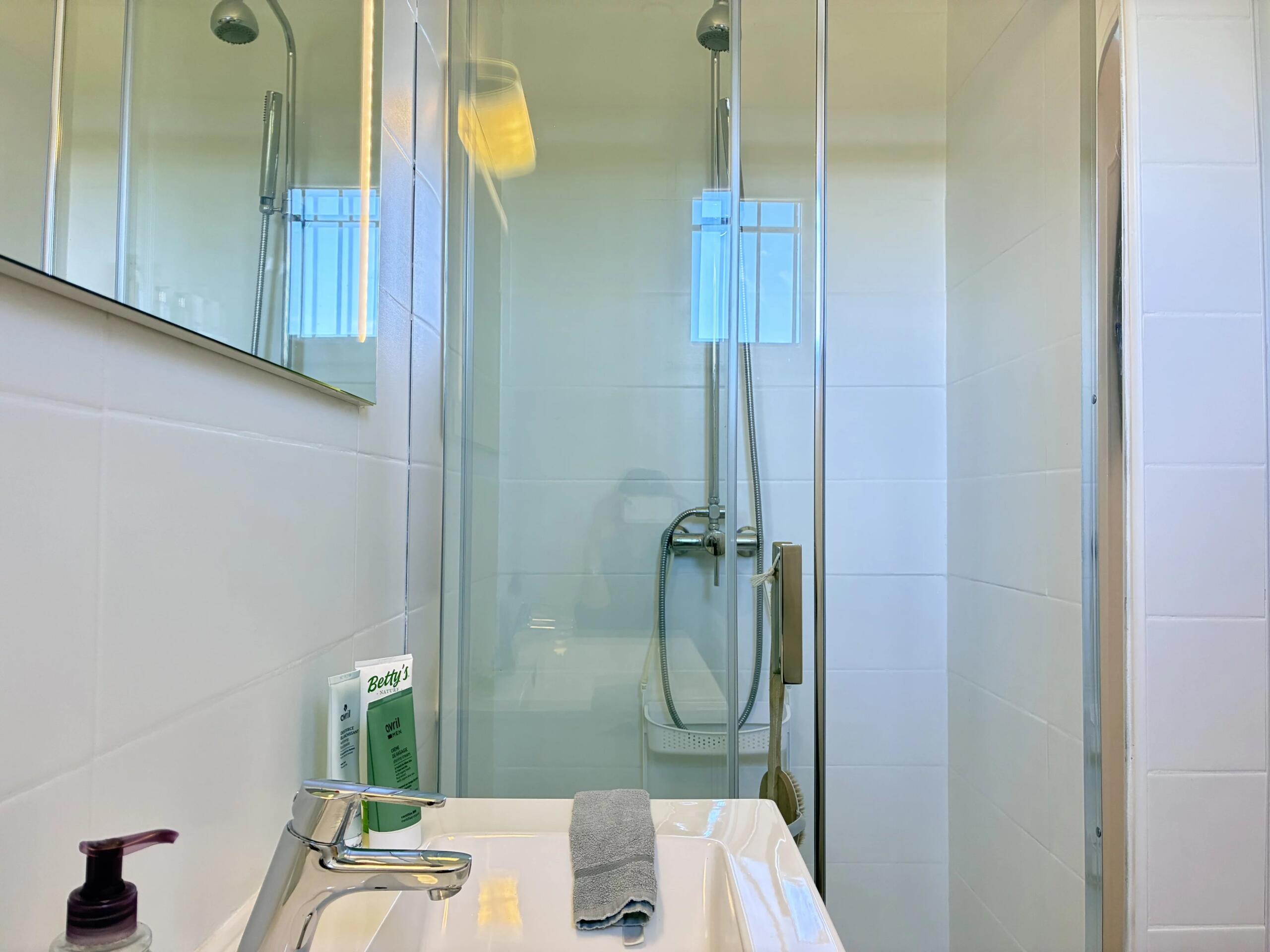 River property, no neighbours!, Poitou-Charentes – France – BVI85514