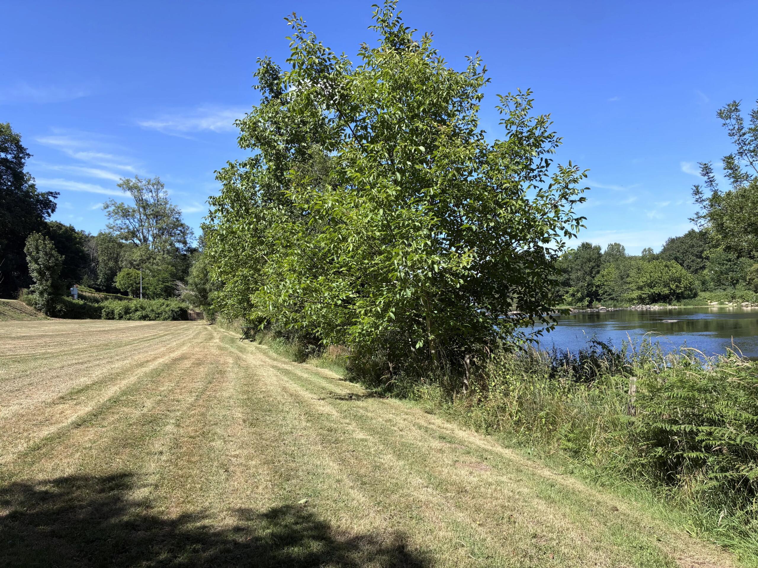 River property, no neighbours!, Poitou-Charentes – France – BVI85514