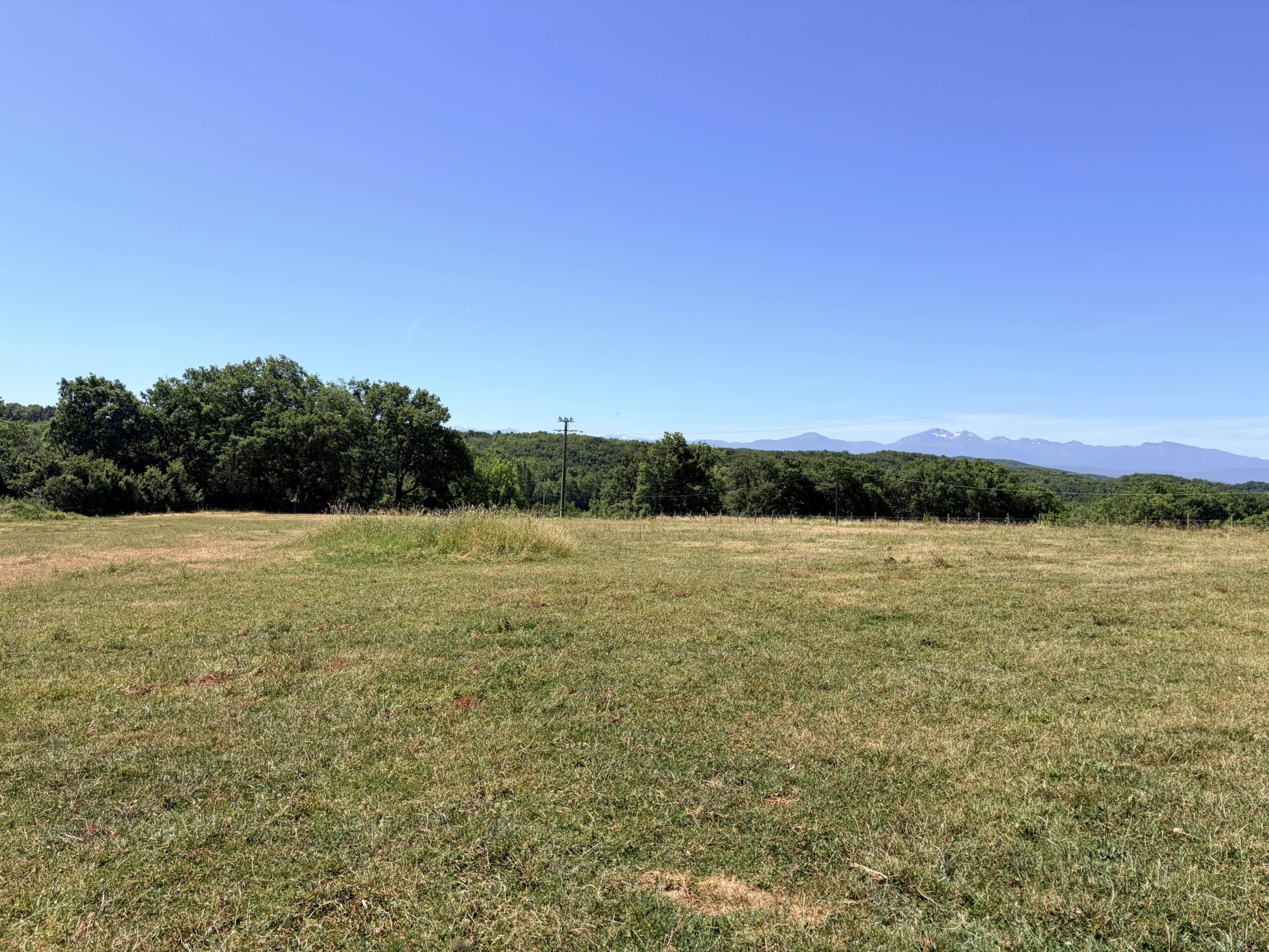 Equestrian farmhouse property bordering a Fishing Lake, Midi-Pyrénées – France – BVI85930