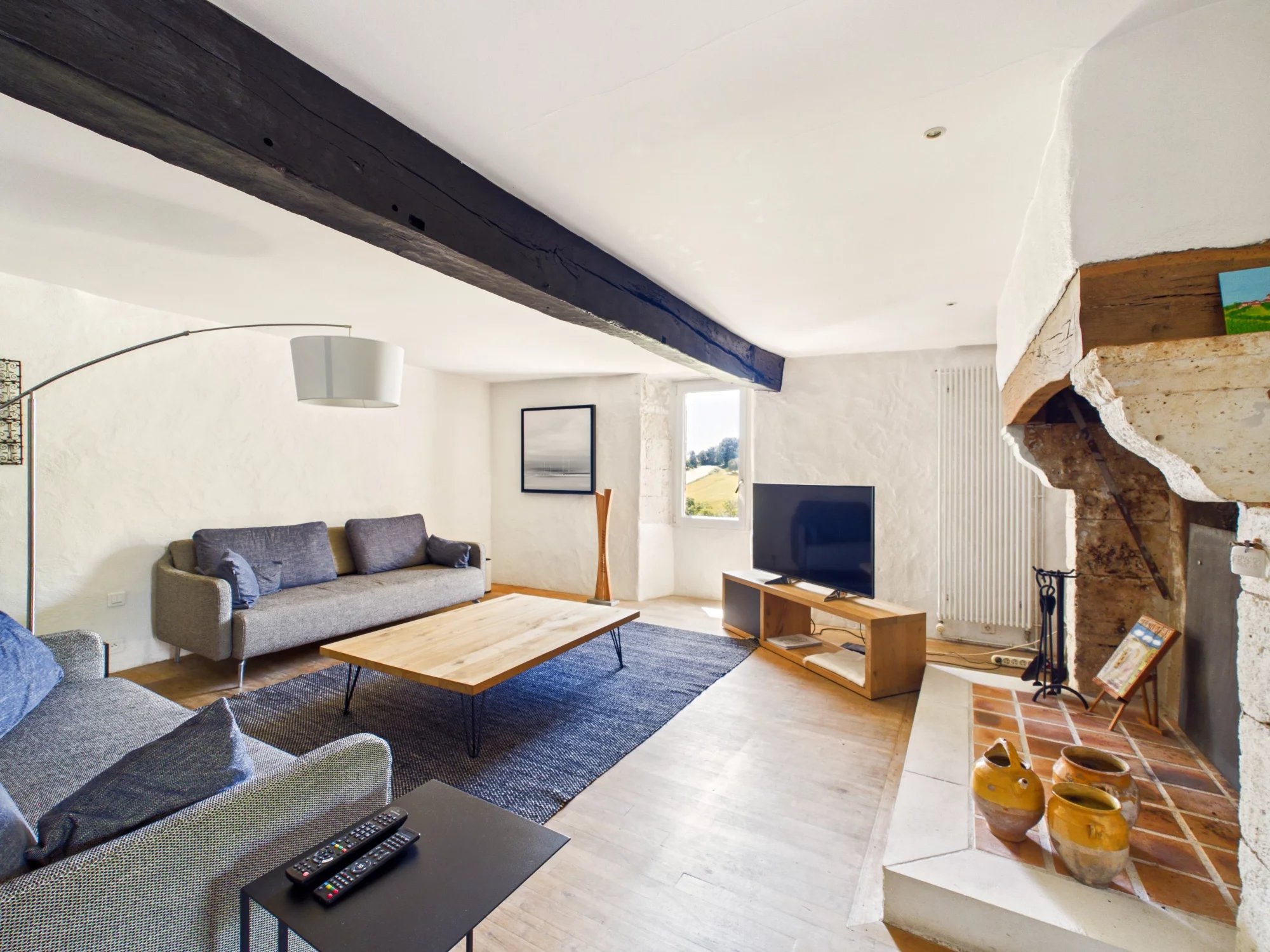 Superb residence with guest accommodation, Aquitaine – France – BVI83825