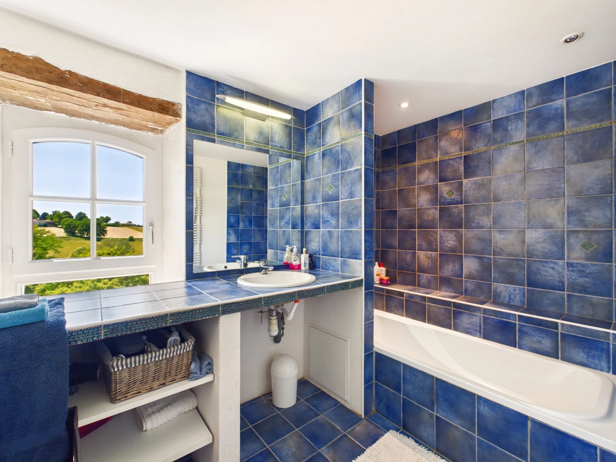 Superb residence with guest accommodation, Aquitaine – France – BVI83825