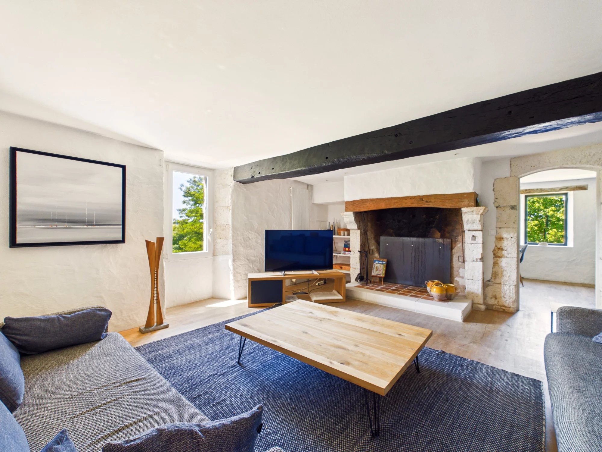 Superb residence with guest accommodation, Aquitaine – France – BVI83825