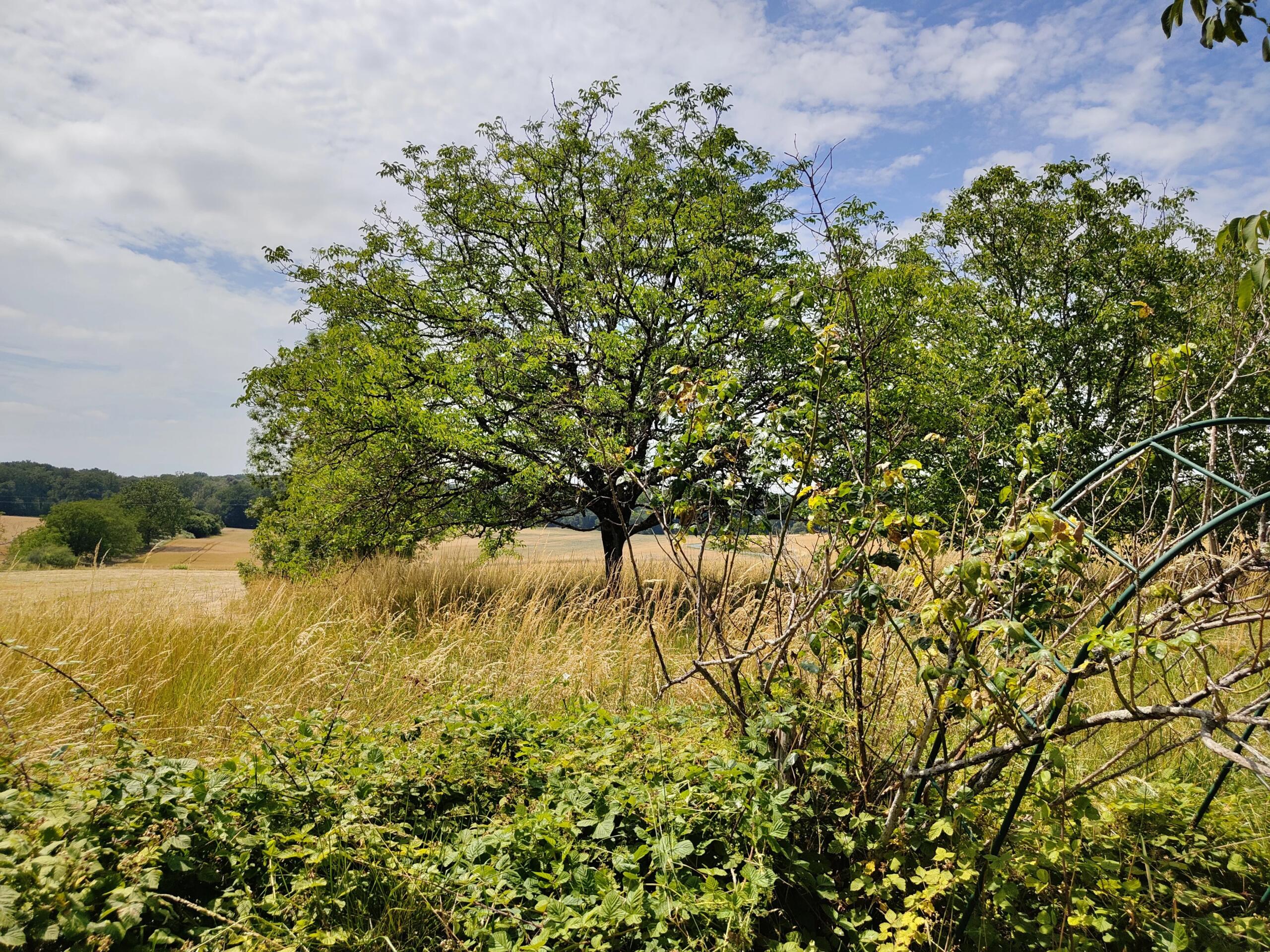Charming Stone Property to Renovate with Countryside Views, Aquitaine – France – BVI85131