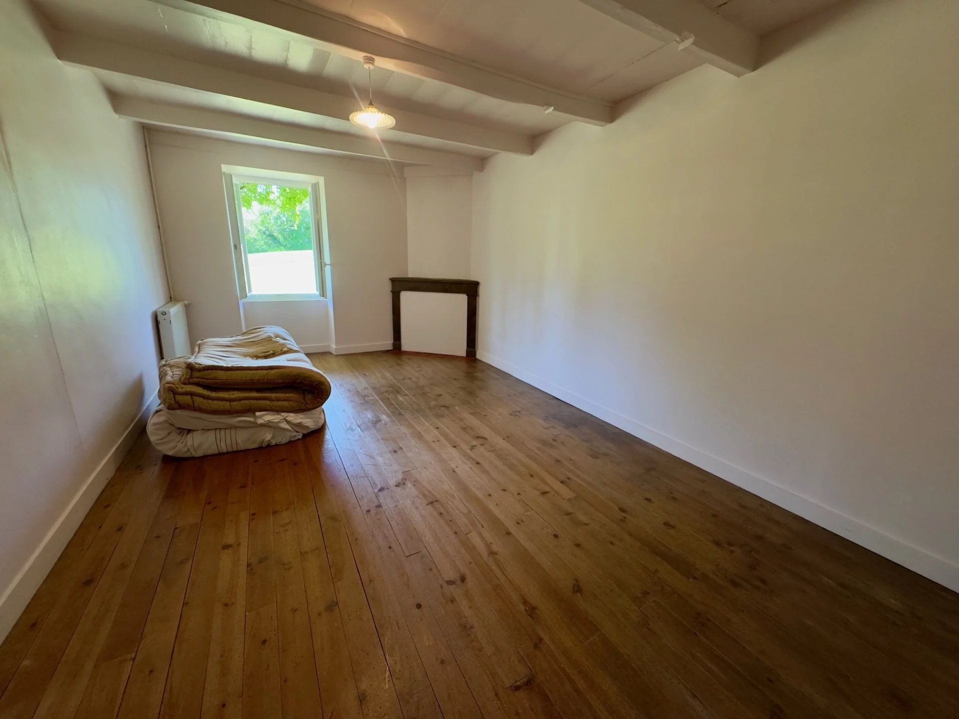 Detached Character French Property, Poitou-Charentes – France – BVI84419