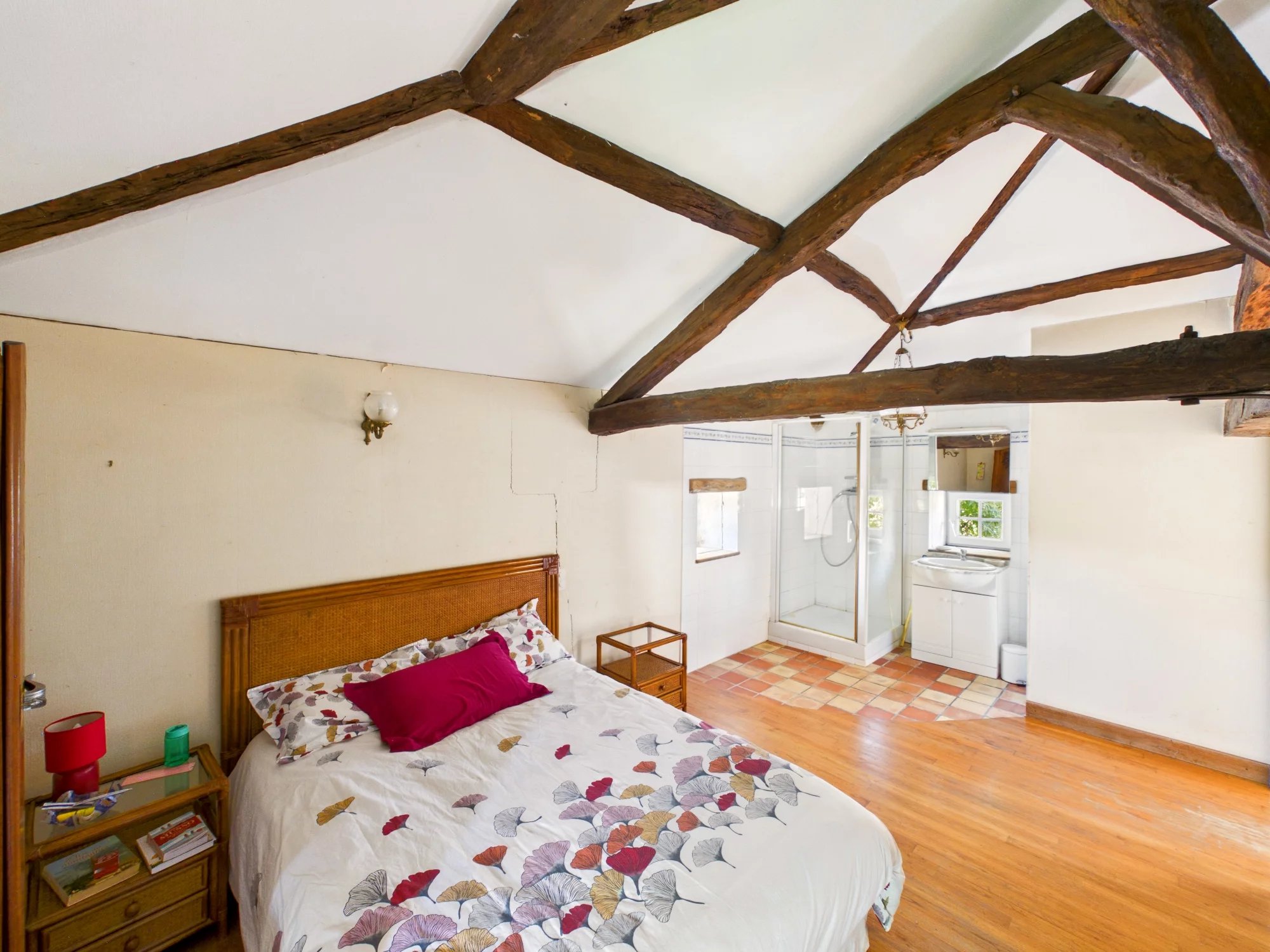 Exceptional Character Property with Separate Apartment, Potential Gîte, Garages and Large Hangar, Poitou-Charentes – France – BVI85873