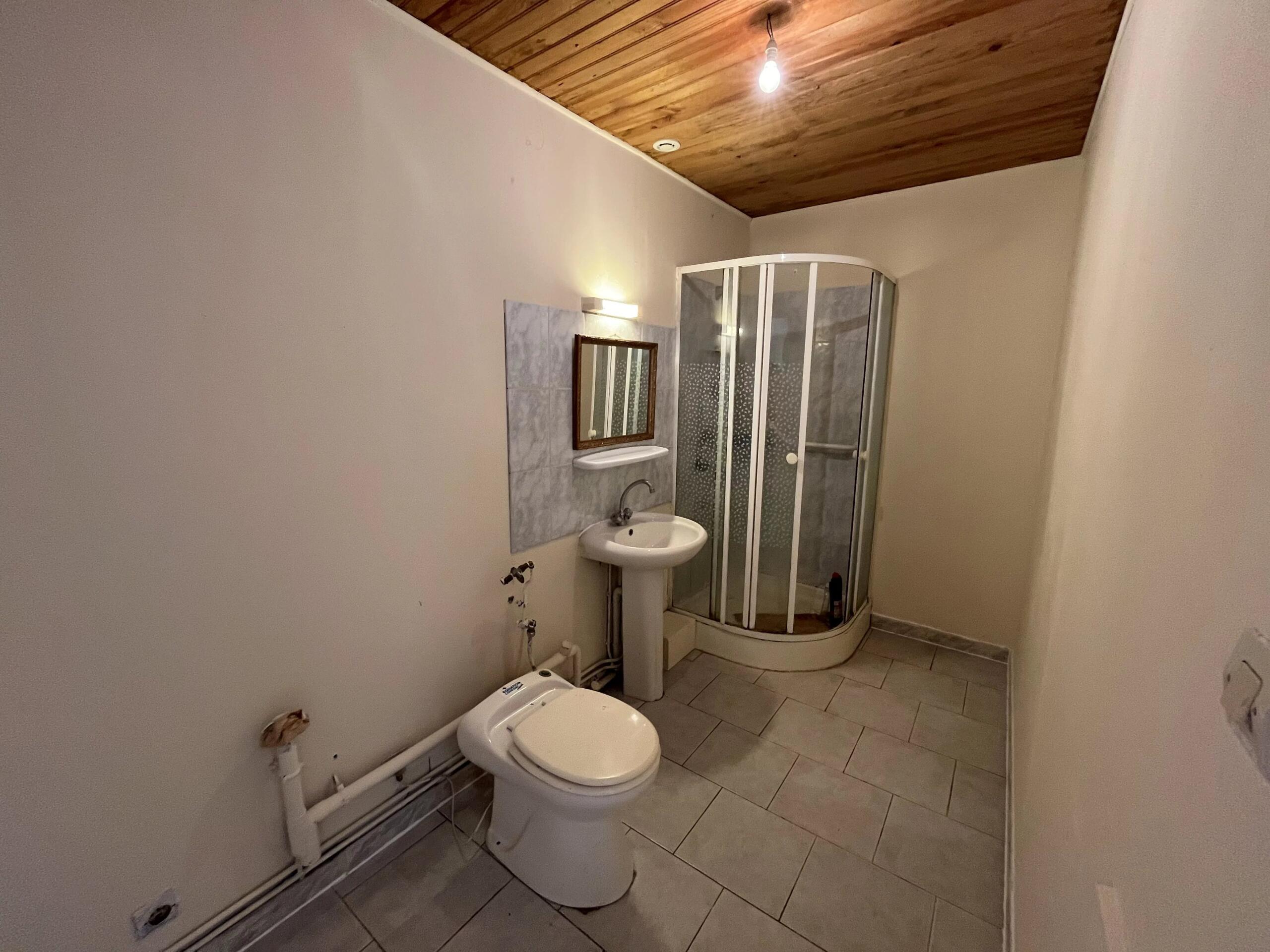 A quirky Hamlet property close to shops and amenities, Poitou-Charentes – France – BVI86201