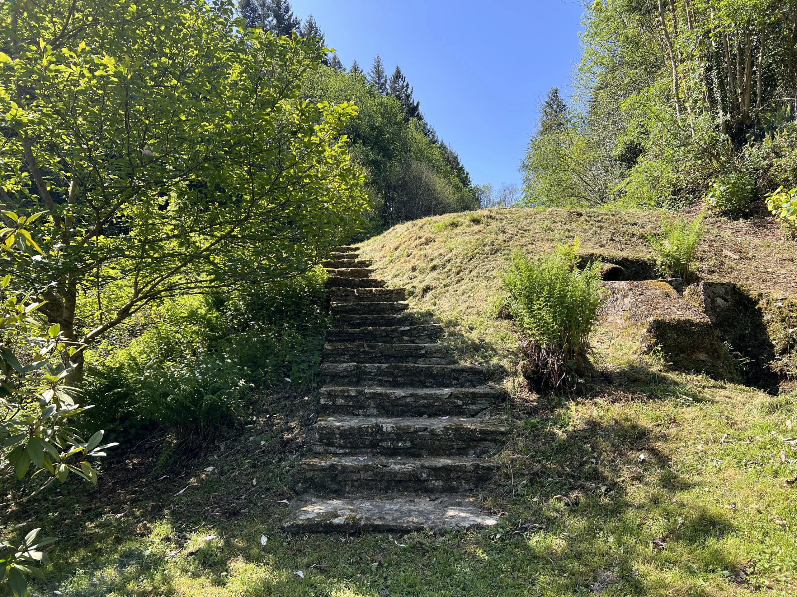 Secluded Nature Estate in the Montagne Noire with Waterfalls and Forests, Midi-Pyrénées – France – BVI84665