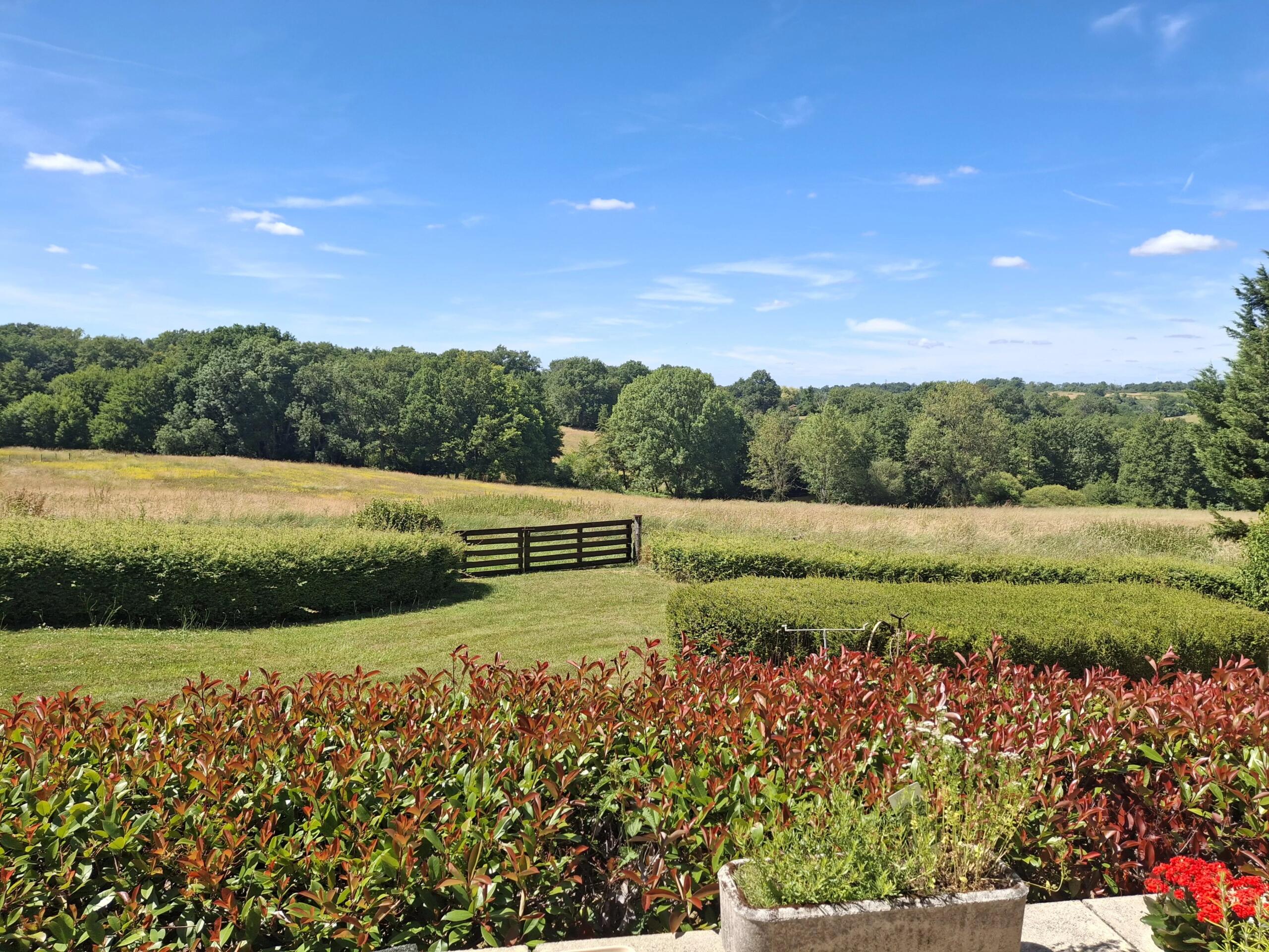 Beautiful 55 ha /135 acre farm with 2 houses and several outbuildings, Poitou-Charentes – France – BVI86087