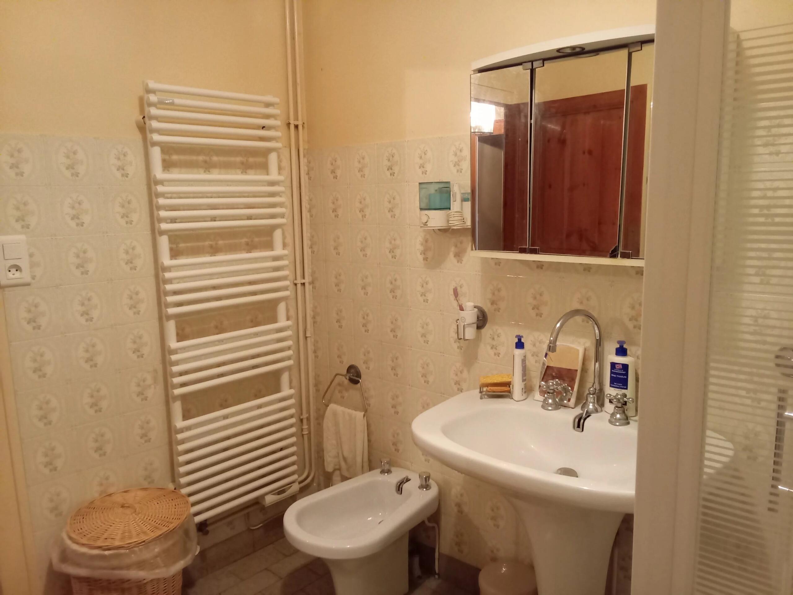 Charming character home – South-facing, Poitou-Charentes – France – BVI83398