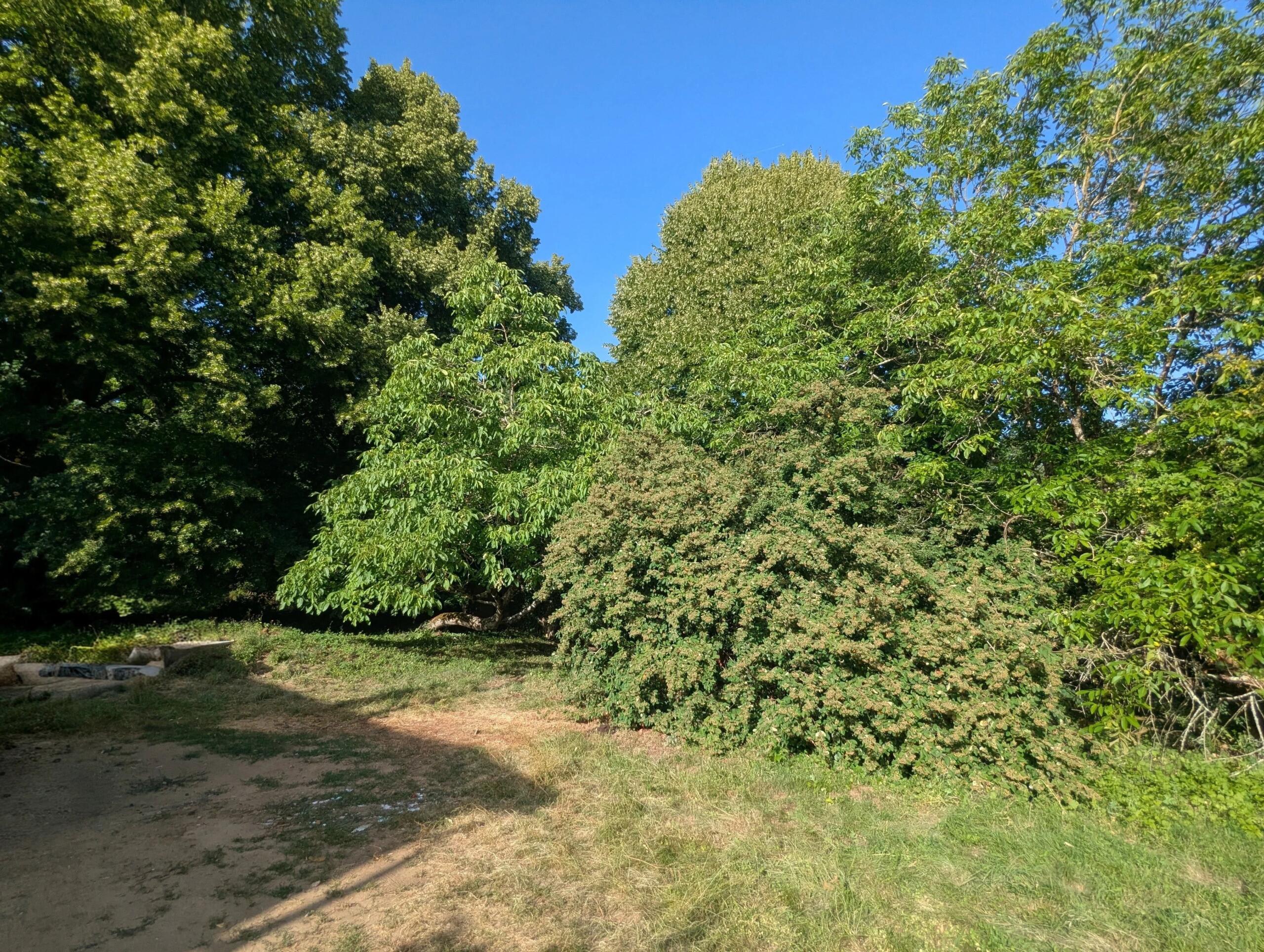 Set of 2 houses to renovate with high potential, Poitou-Charentes – France – BVI86210
