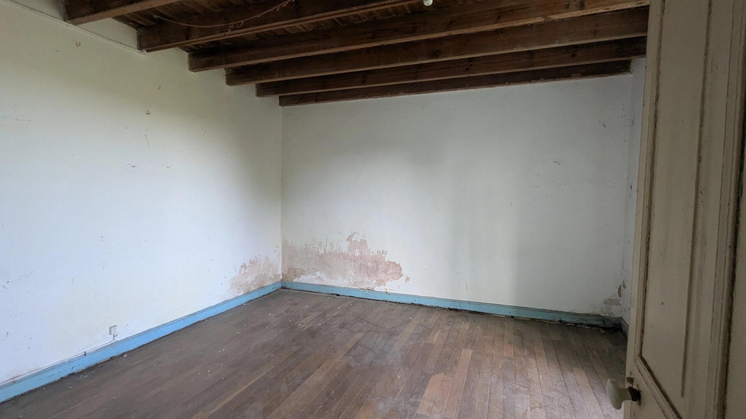 Set of 2 houses to renovate with high potential, Poitou-Charentes – France – BVI86210