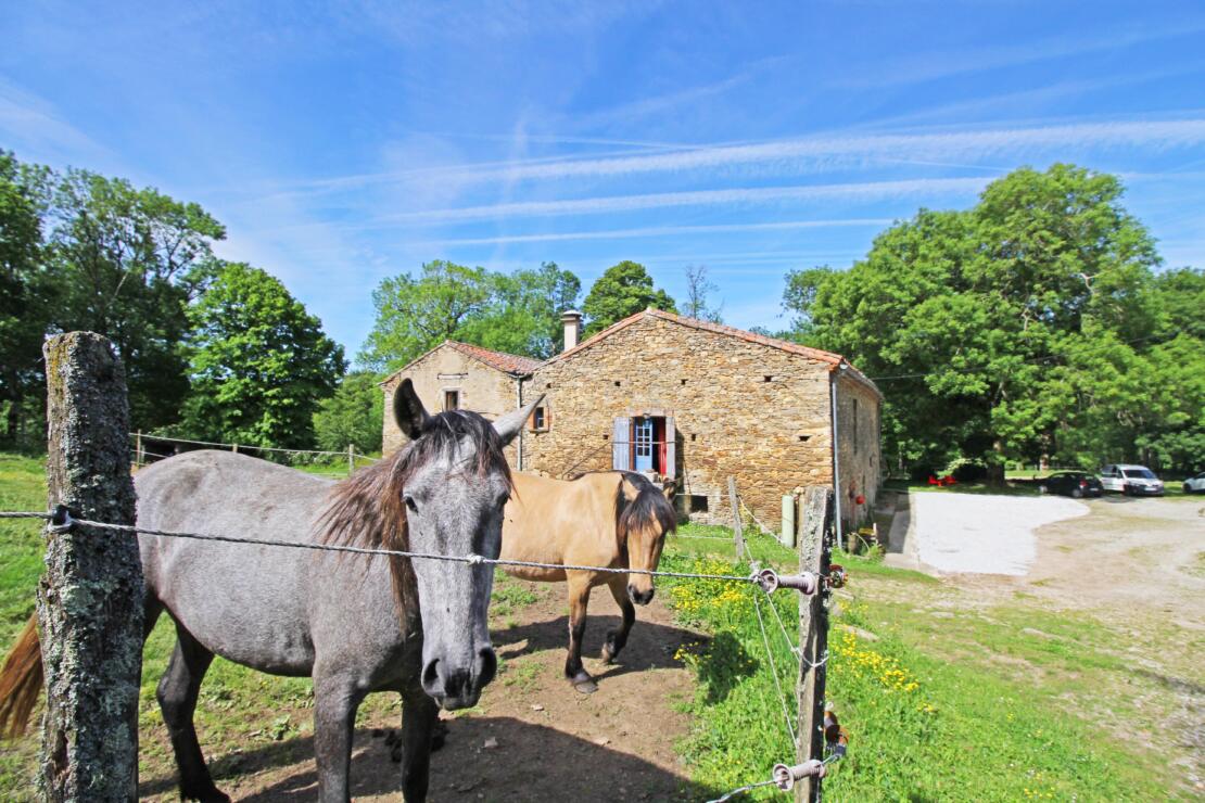 Beautiful traditional stone farmhouse for sale; events, weddings, horses or camping
