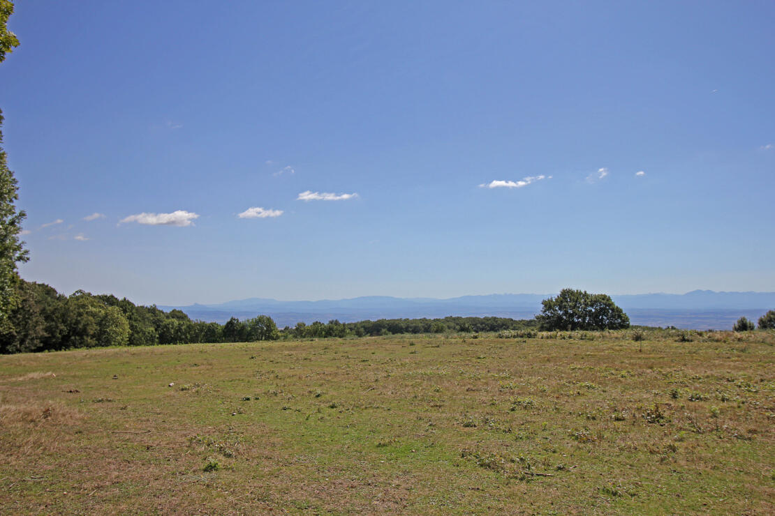 Beautiful traditional stone farmhouse for sale; events, weddings, horses or camping