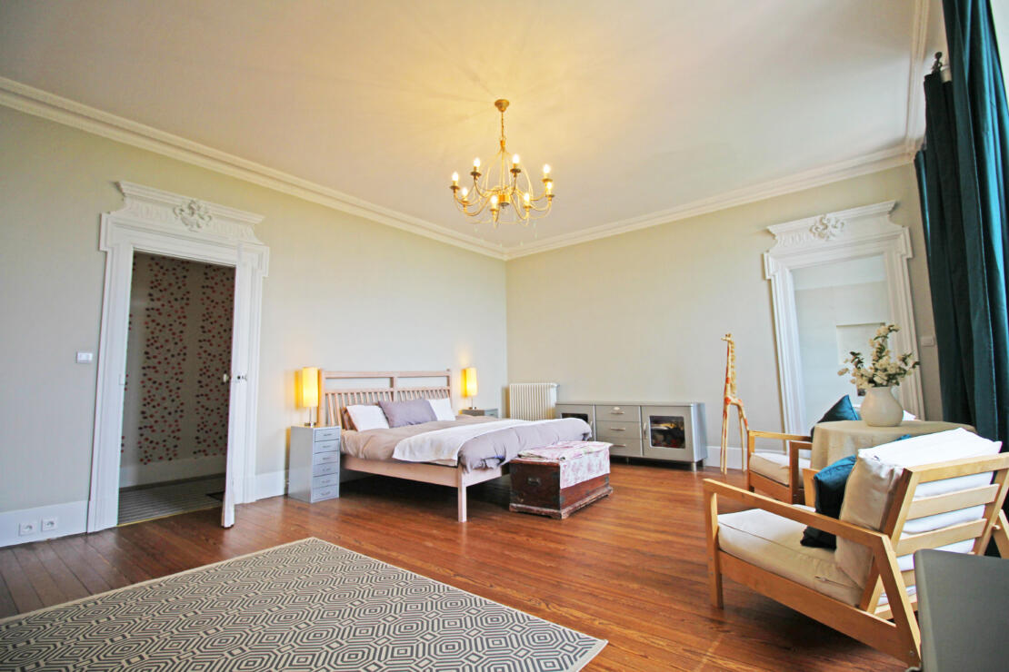 Beautiful chateau for sale with a pool, modern comforts and original historic features