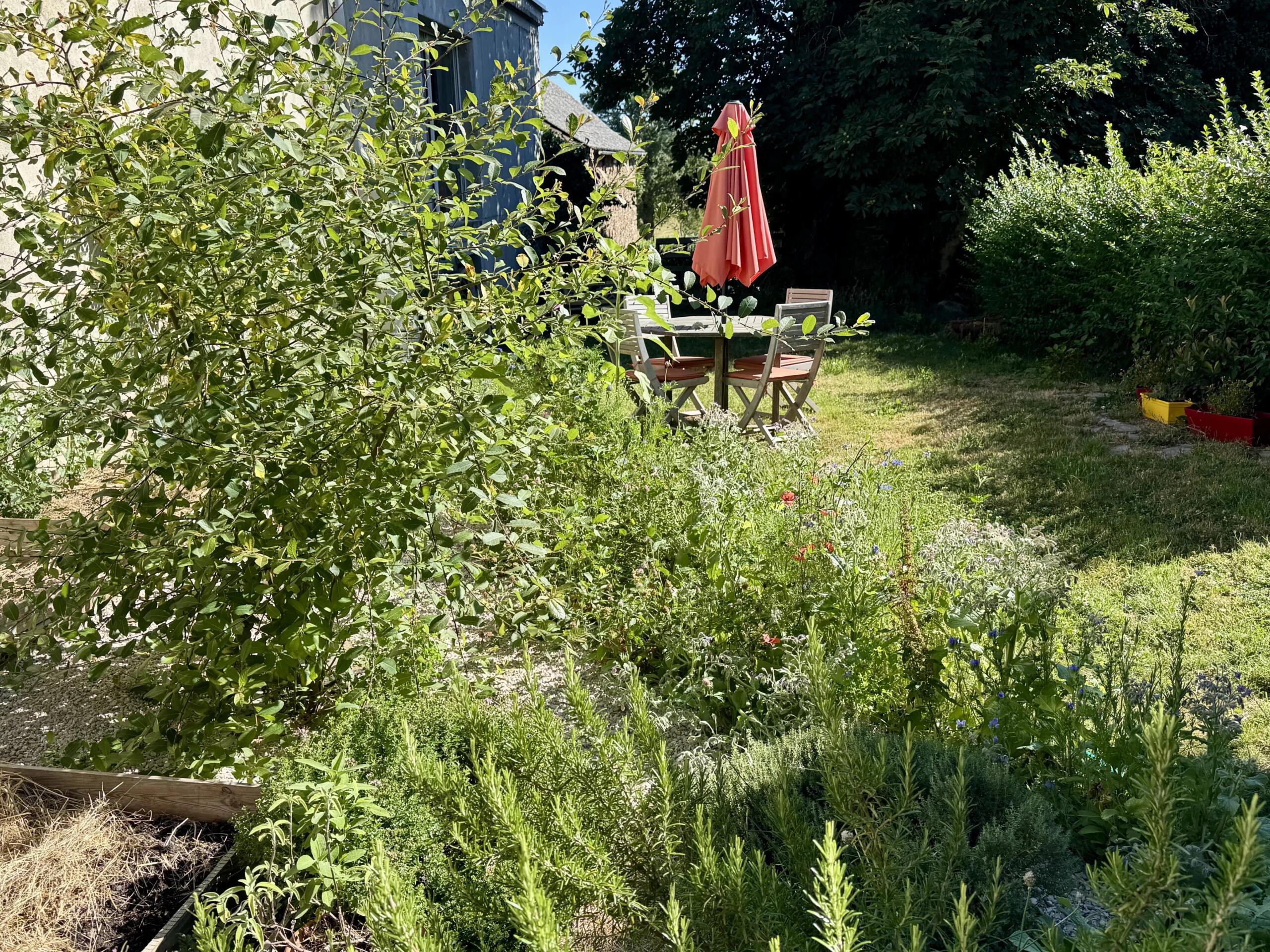 Characterful village house with garden and barn, Midi-Pyrénées – France – BVI86299