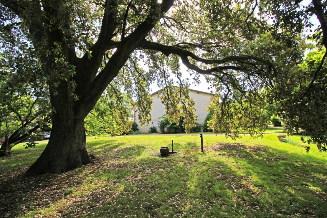 Tranquil domaine amongst mature gardens with independent gite, a short walk from Caraman near Toulouse
