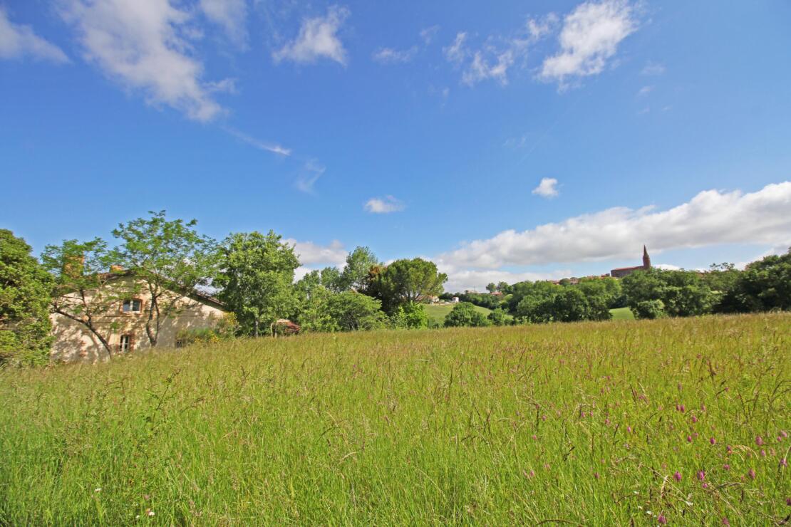 Tranquil domaine amongst mature gardens with independent gite, a short walk from Caraman near Toulouse