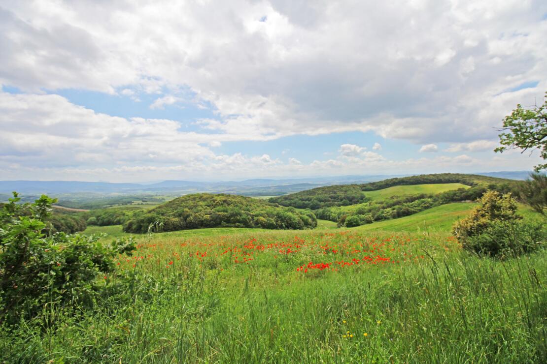 Domaine with exceptional views of the Pyrenees, 83ha of land, pool and multiple buildings near Limoux