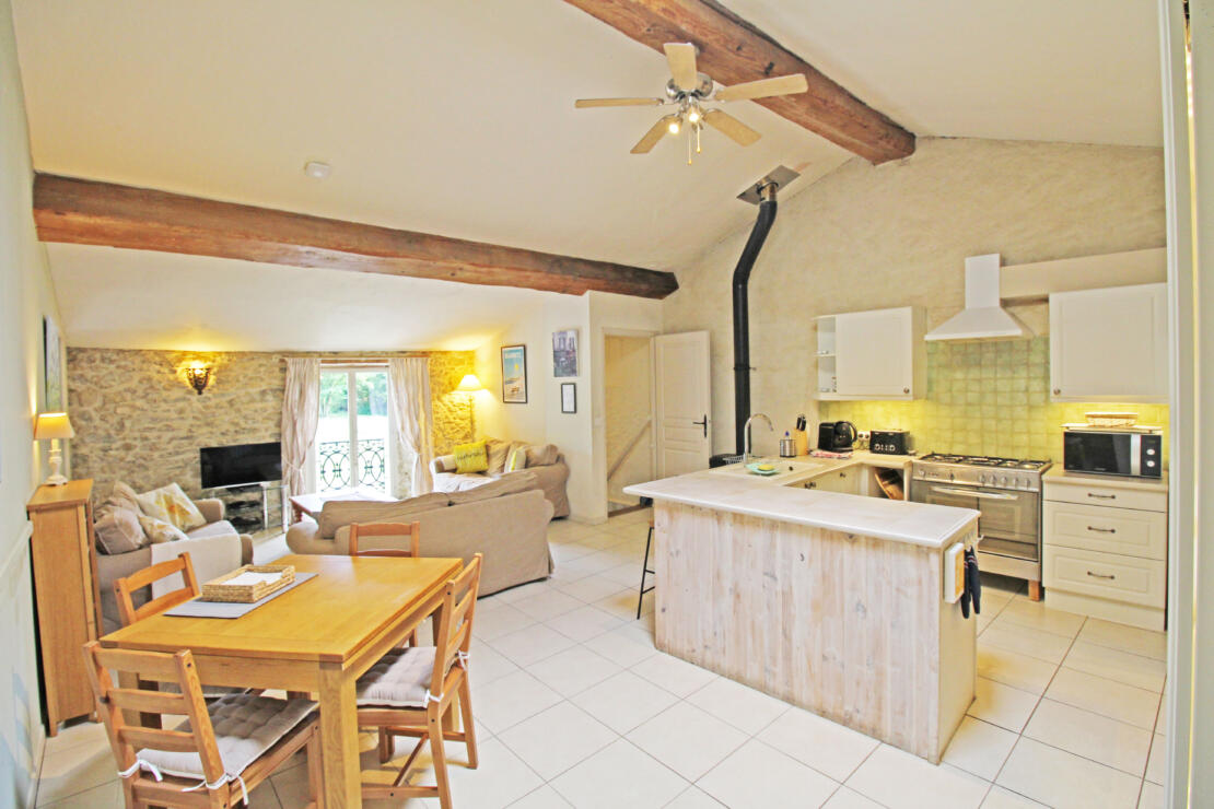Beautiful domaine with large mature garden, two gîtes and a pool, minutes from the pretty town of Mirepoix
