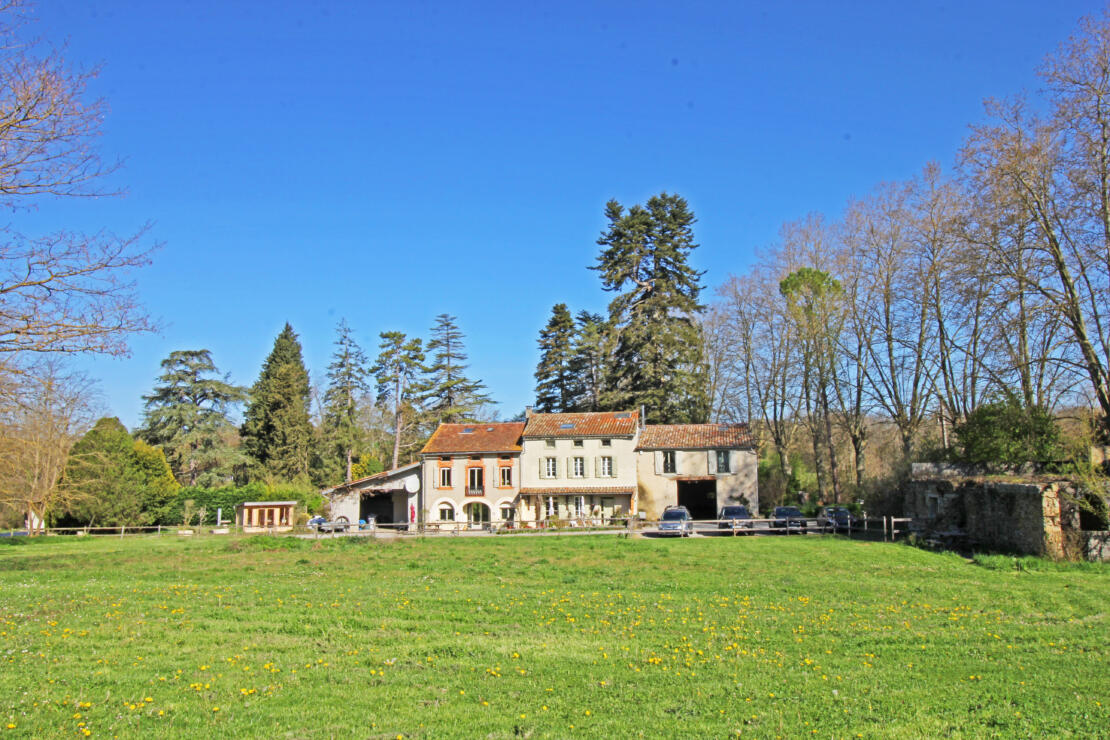 Beautiful domaine with large mature garden, two gîtes and a pool, minutes from the pretty town of Mirepoix