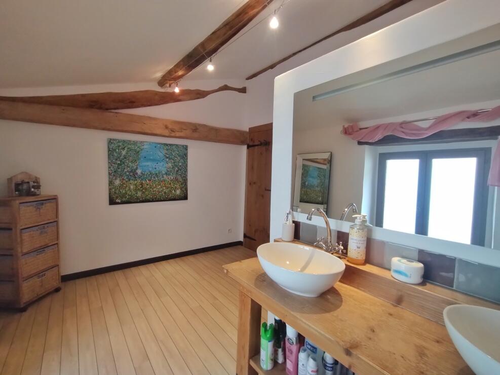 Your dream French property in a charming setting, Pyrenean views, gîte, pool and garden 15 mins from Lavaur
