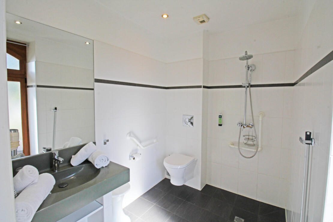 Stunning 15 bed hotel, with pool, hammam and owner flat in a prime location at the gateway to the Pyrenees