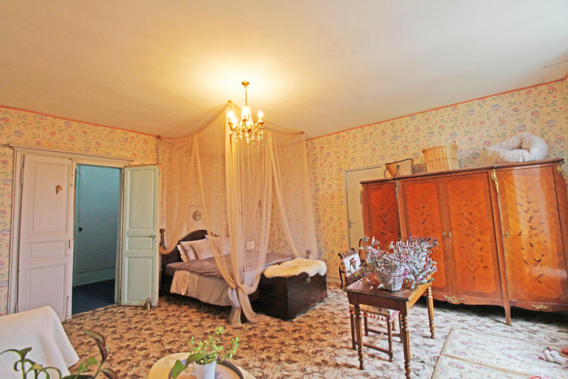 Impressive chateau with outbuildings and garden, full of history, in the heart of the Razès near Carcassonne