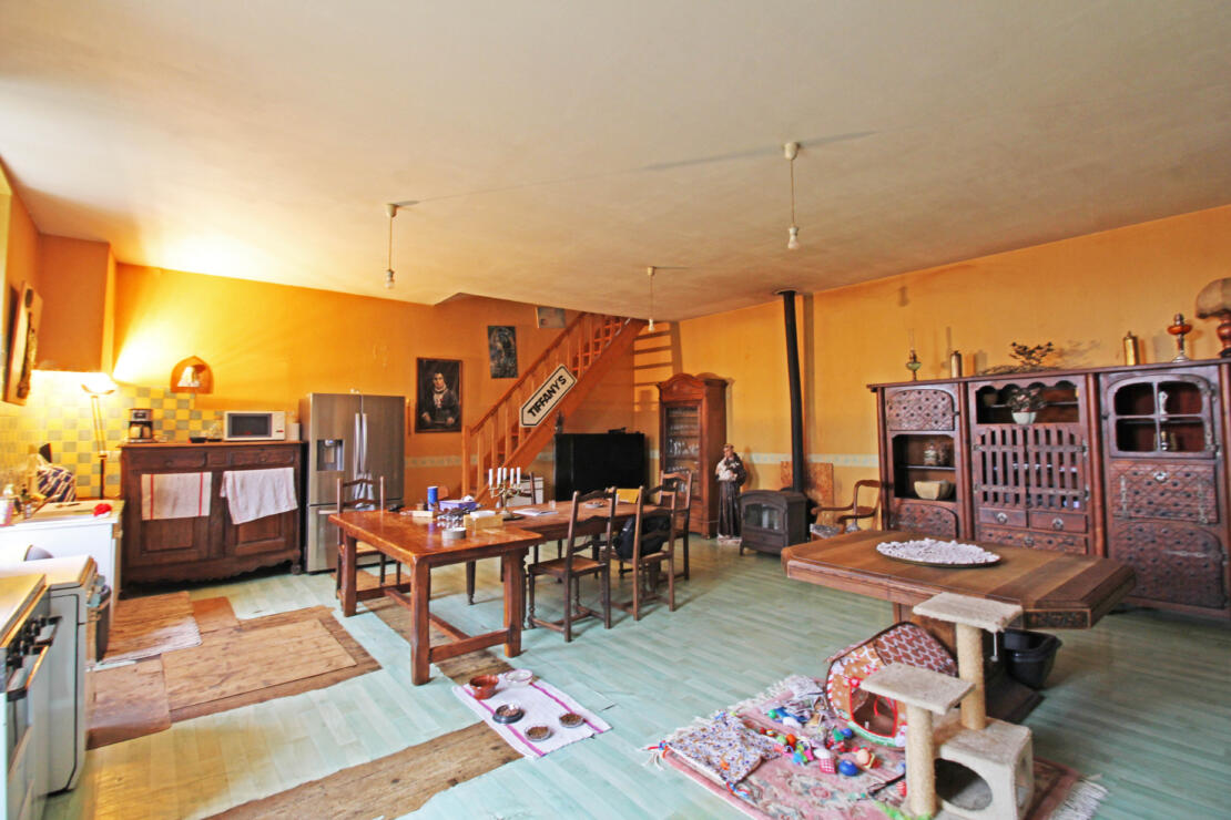 Impressive chateau with outbuildings and garden, full of history, in the heart of the Razès near Carcassonne