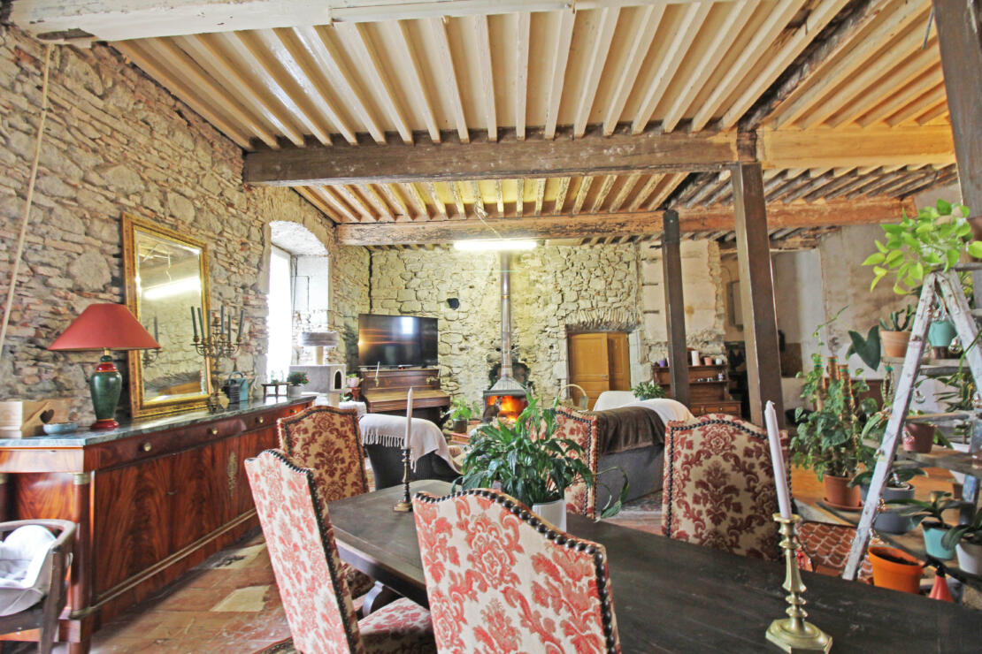 Impressive chateau with outbuildings and garden, full of history, in the heart of the Razès near Carcassonne