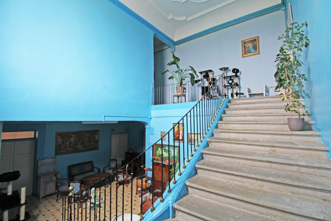 Impressive chateau with outbuildings and garden, full of history, in the heart of the Razès near Carcassonne