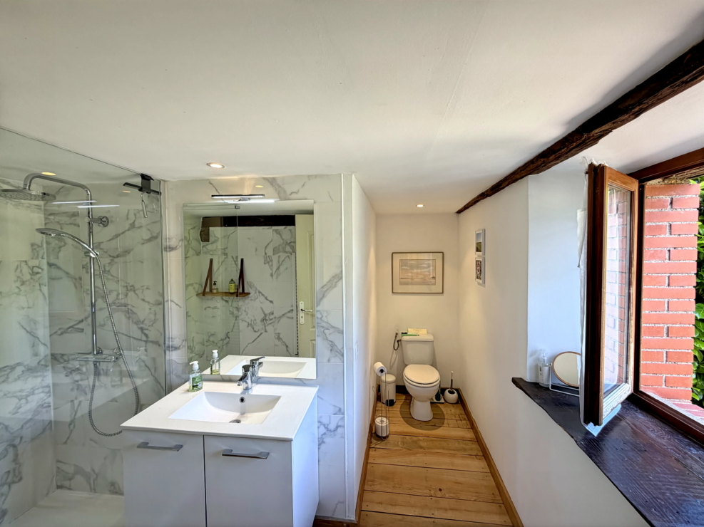 Stunning renovated farmhouse with a separate gîte, only 20mins from Albi