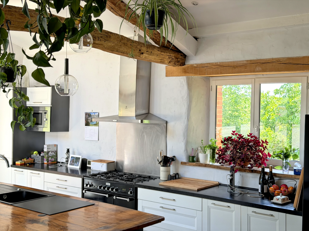 Stunning renovated farmhouse with a separate gîte, only 20mins from Albi