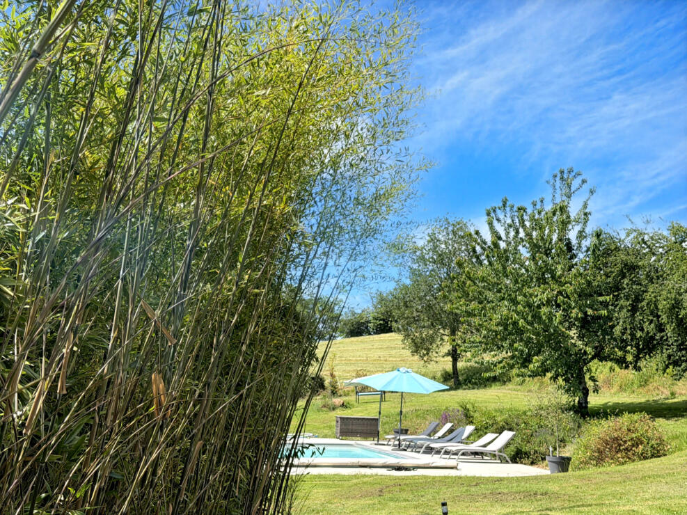 Stunning renovated farmhouse with a separate gîte, only 20mins from Albi