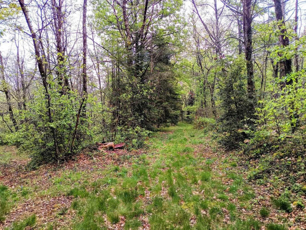 4 bedroom propriete in Puycalvel, Tarn, France