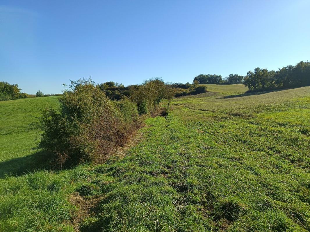 terrain agricole in Montdurausse, Tarn, France