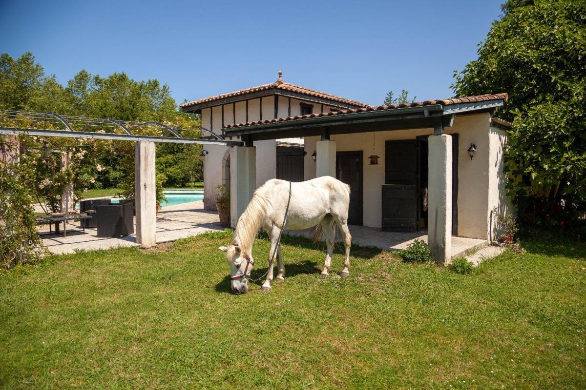9 bedroom demeure in Bayonne, Pyrénées-Atlantiques, France