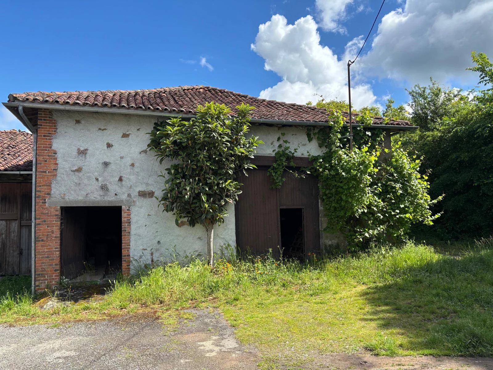 Barn Conversion Opportunity – Create the Home You’ve Always Dreamed Of, Poitou-Charentes – France – BVI86330