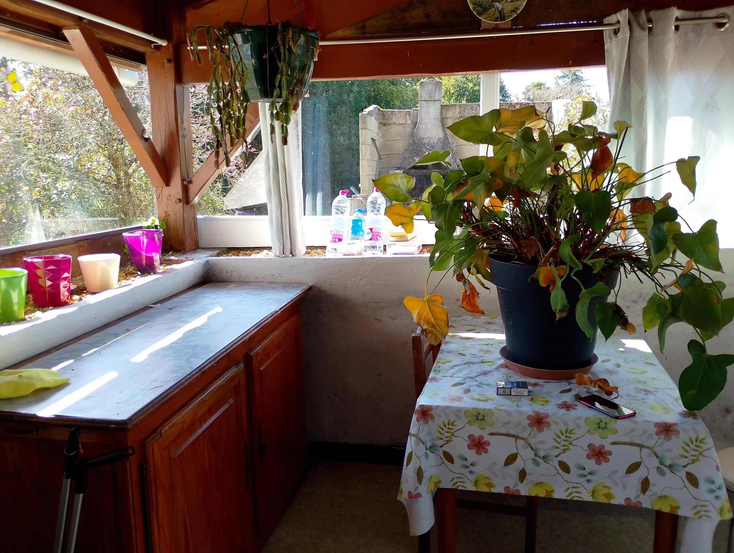 Near Jonzac, Poitou-Charentes – France – BVI84934
