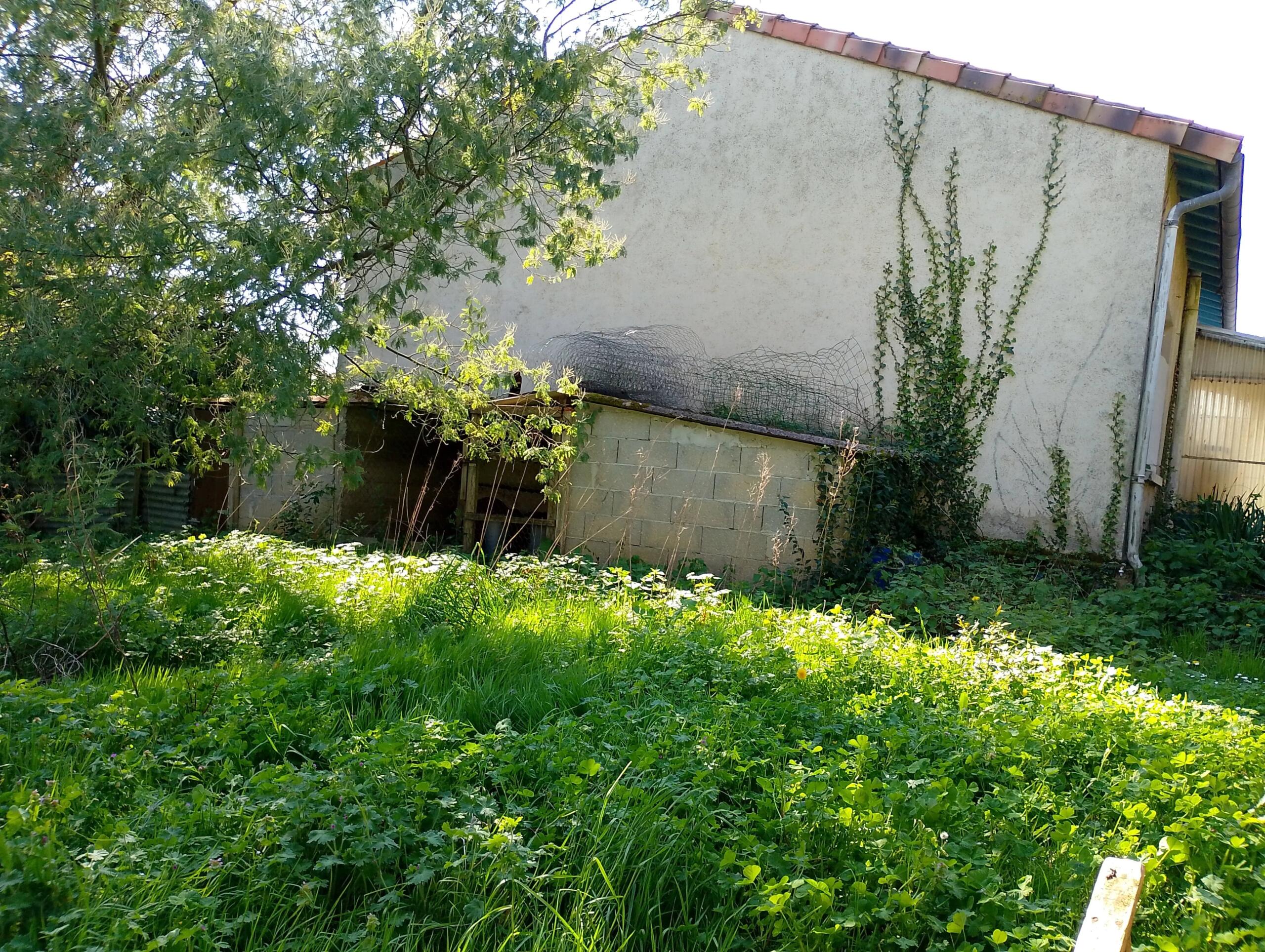 Near Jonzac, Poitou-Charentes – France – BVI84934